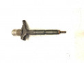 Inyector RENAULT VEL SATIS 2004