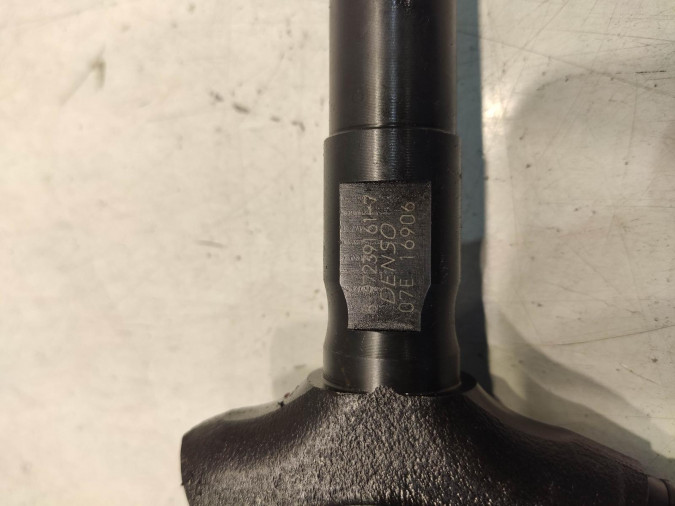 Inyector RENAULT VEL SATIS 2004