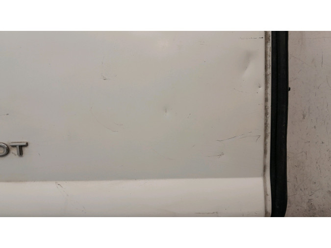 PUERTA TRASERA DE CARGA IZQUIERDA PEUGEOT EXPERT ROTULADA 2016