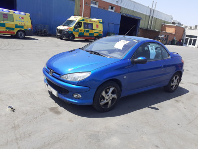 PUENTE TRASERO PEUGEOT 206 2003