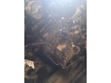 CAJA CAMBIOS RENAULT MEGANE 2004