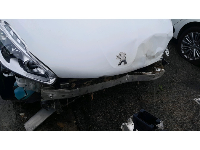 PORTON TRASERO PEUGEOT 208 BLANCO 2015