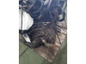 CAJA CAMBIOS SEAT IBIZA 2004
