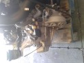 CAJA CAMBIOS CITROEN C5 2003