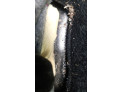 MOTOR LIMPIAPARABRISAS DELANTERO IZQUIERDO FORD FOCUS 2016
