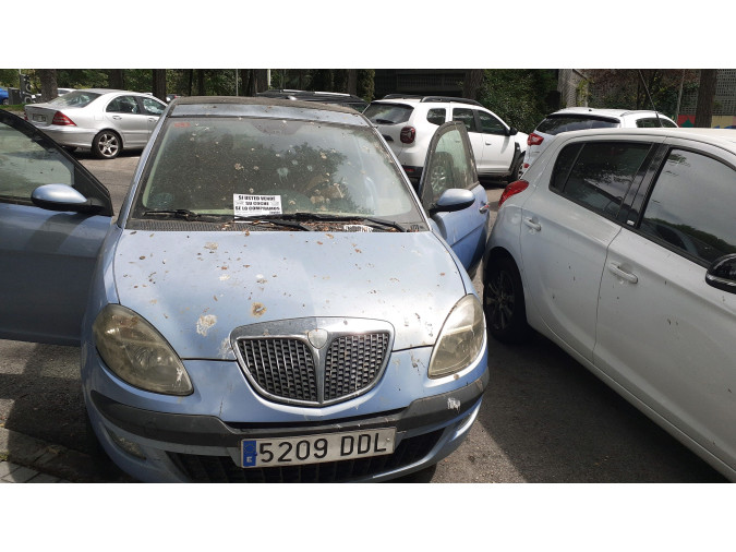 PANEL DELANTERO LANCIA YPSILON 2004