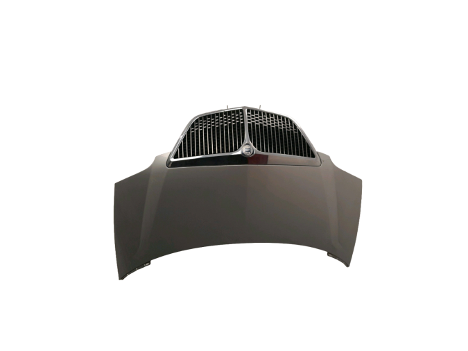 CAPOT LANCIA PHEDRA GRIS 2002