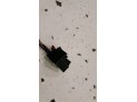 Retrovisor Izquierdo VOLKSWAGEN PASSAT AZUL 39505