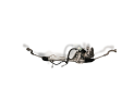 CREMALLERA DE DIRECCION CITROEN C4 2024