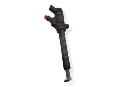 Inyector PEUGEOT 407 2005