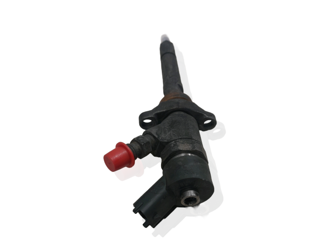 Inyector PEUGEOT 407 2005