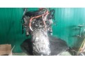 MOTOR CON ACCESORIOS Y CAJA DE CAMBIOS LEXUS GS 450H 2009
