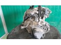 ALTERNADOR SMART FORFOUR HATCHBACK 2014