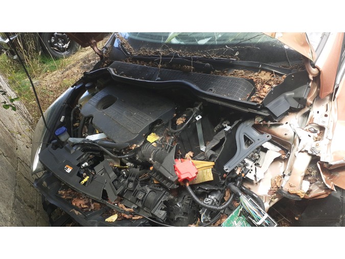 PUERTA DELANTERA DERECHA FORD FIESTA 2019