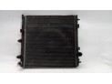 Radiador de Agua CITROEN C3 2003