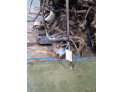 CAJA CAMBIOS HYUNDAI MATRIX 2003
