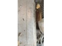 Motor SEAT LEON 2010