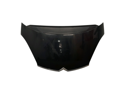 CAPOT CITROEN C4 GRAND PICASSO NEGRO 2010