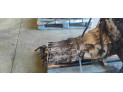 CAJA CAMBIOS BMW SERIE 1 2006