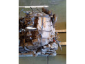 MOTOR NISSAN ALMERA 2001