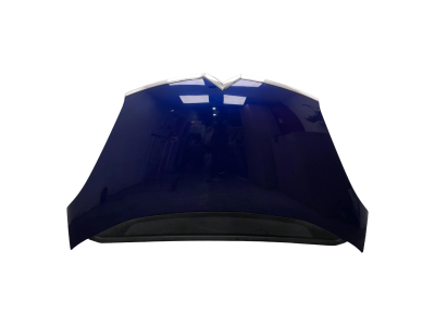 CAPOT CITROEN C4 PICASSO AZUL 2007