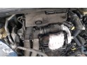 CAPOT CITROEN C4 PICASSO ROTULADA 2015
