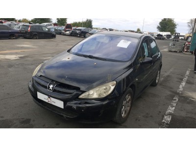 VARIOS PEUGEOT 307 2002