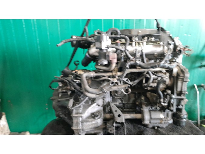 Alternador NISSAN ALMERA