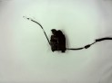 CERRADURA PUERTA DELANTERA IZQUIERDA PEUGEOT 308 2016