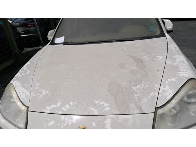 PUERTA DELANTERA IZQUIERDA PORSCHE CAYENNE 2007