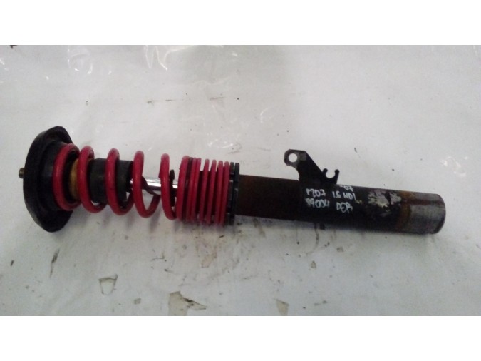 SPRAY HIGIENIZANTE BG PEUGEOT 207 2007