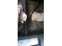 PANEL DELANTERO RENAULT KANGOO EXPRESS 2007