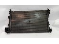 Radiador de Agua BMW SERIE 5 2004