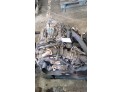 MOTOR SO PEUGEOT PARTNER 2007