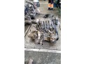 MOTOR CON ACCESORIOS SIN CAJA DE CAMBIOS PEUGEOT 307 2003