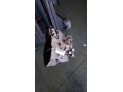 CAJA CAMBIOS OPEL ASTRA 2007