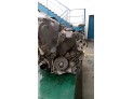 MOTOR CON ACCESORIOS Y CAJA DE CAMBIOS CITROEN XSARA PICASSO 2002
