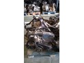 MOTOR CON ACCESORIOS Y CAJA DE CAMBIOS ALFA ROMEO GT 2005