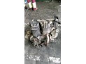 Motor CITROEN SAXO 36970