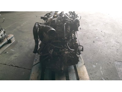 Alternador NISSAN PRIMERA 2002