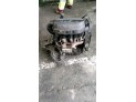 MOTOR CON ACCESORIOS Y CAJA DE CAMBIOS RENAULT KANGOO 2000
