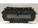 REJILLA DELANTERA DS DS7 NEGRO 44694
