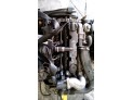 MOTOR CON ACCESORIOS Y CAJA DE CAMBIOS PEUGEOT 307 2005