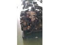 MOTOR CON ACCESORIOS Y CAJA DE CAMBIOS SEAT TOLEDO 2005
