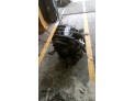 MOTOR CON ACCESORIOS Y CAJA DE CAMBIOS CITROEN C15 2003