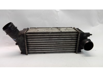 Intercooler PEUGEOT 307 2004