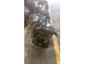MOTOR CON ACCESORIOS SIN CAJA DE CAMBIOS PEUGEOT 407 2010