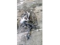 MOTOR CON ACCESORIOS SIN CAJA DE CAMBIOS CITROEN C4