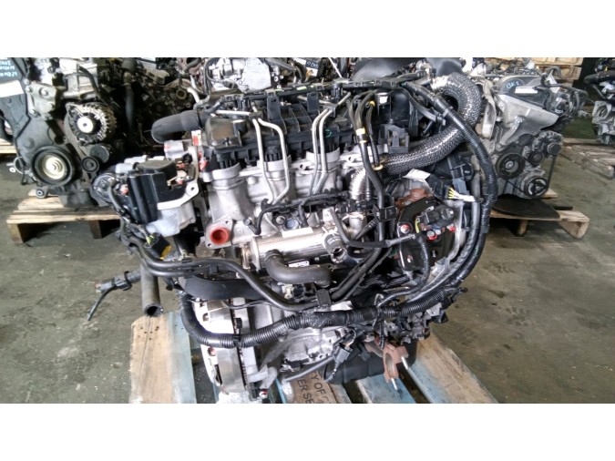 Motor FORD FOCUS 2010