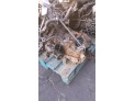 MOTOR CON ACCESORIOS SIN CAJA DE CAMBIOS SEAT CORDOBA 1996